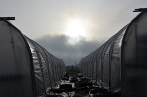 Les tunnels au soleil